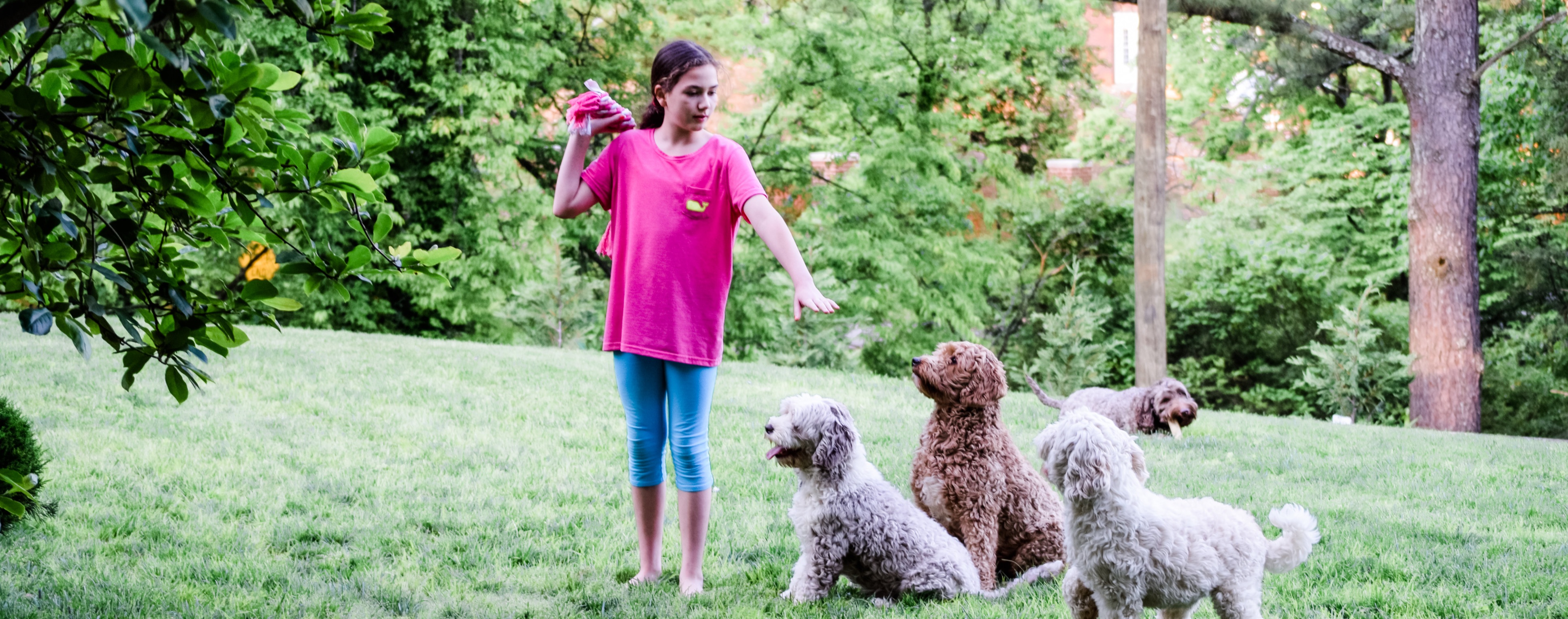 A Few Helpful Resources For Raising And Training Hy Healthy A Few Helpful Resources For Raising And