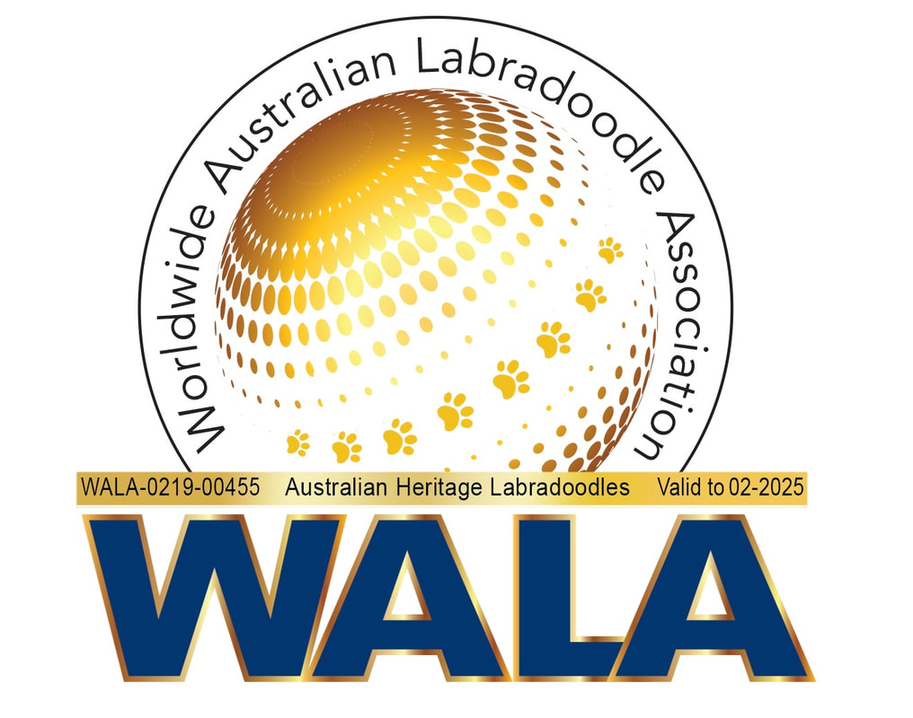 Australian Heritage Labradoodles WALA membership badge